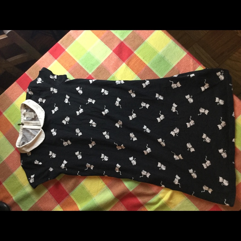 Cat dress with cute white collar